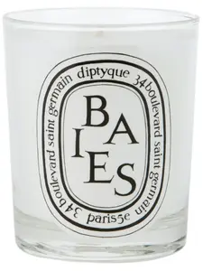 Ароматическая свеча baies, 9х6 см, Diptyque, белый