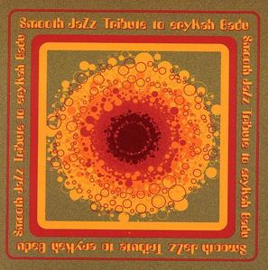 CD диск Smooth Jazz Tribute: Smooth Jazz tribute to Erykah Badu
