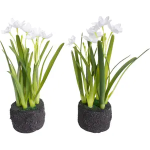 Искусственный цветок Botanic-Haus «Композиция из нарциссов в глобусе», белый