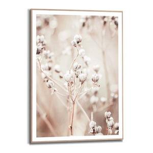 Картина с рамкой Reinders Getrockneter Zweig, бежевый