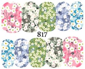 Водные наклейки для ногтей - №817, Raisin