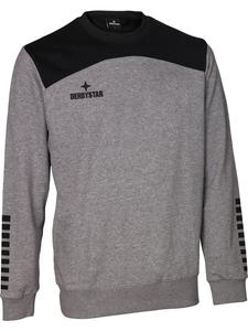 Derbystar Свитшот "Sweatshirt Ultimo V23" серого цвета