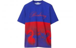 Футболка мужская синяя Burberry, синий