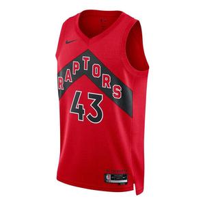 Майка Nike Dri-FIT NBA Toronto Raptors Pascal Siakam Icon Edition 2022/23 Swingman Jersey, мультиколор