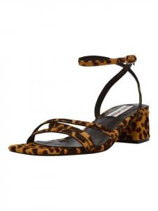 Классические босоножки Steve Madden, цвет leopard
