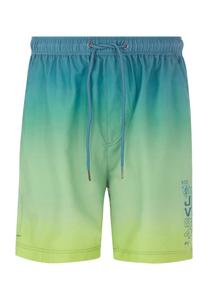 Шорты для плавания werenfried Jan Vanderstorm, зеленый