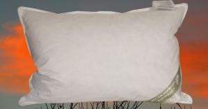 Подушка ЯПОНИЯ подушка пуховая подушка 43х63 см 100% пух пушистый мягкий 600 г твердый Betten Hofmann