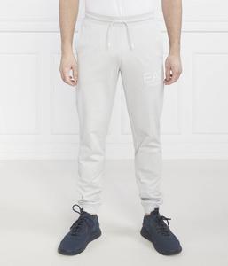 Штаны спортивные Ea7 Regular Fit с логотипом, серый