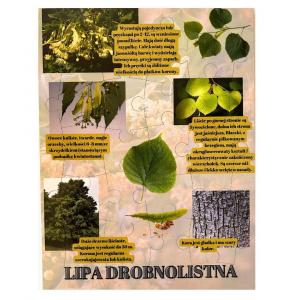 Липа мелколистная, деревянный пазл, лесное образование. Inna marka