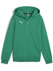 Толстовка с капюшоном TeamGoal CasuaLongsleeve Hooded Jacket Jr зеленого цвета Puma