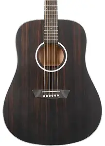 Акустическая гитара Washburn DFED-U Deep Forest Dreadnought. Полосатый эбен