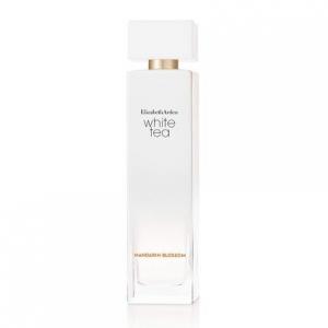 Elizabeth Arden Modern Spray Perfume for Women 3.3 Fl Oz