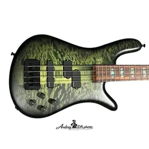 Spector USA NS-2, Haunted Moss / Pau Ferro