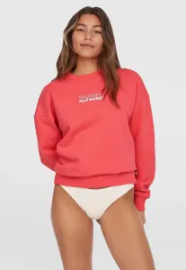 Толстовка команды будущего серферского общества O'Neill, Froly