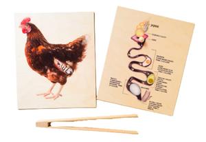 Как делается яйцо, деревянный пазл, кладка яиц, мелкая моторика Inna marka