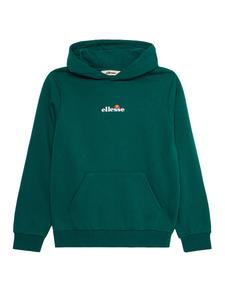 Толстовка ELLESSE Otternere, темно-зеленый