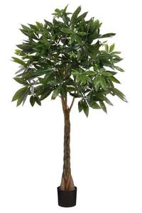 Декоративное растение Mica Decorations Pachira, 50x50x50 см, зеленый