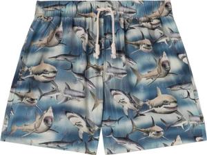 Шорты для плавания Palm Angels Sharks Swimshorts 'Blue', синий