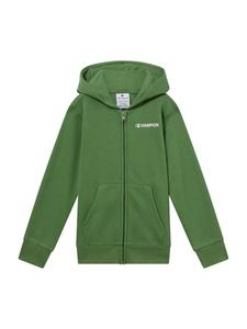 Толстовка с капюшоном на молнии Champion Authentic Athletic Apparel, зеленый