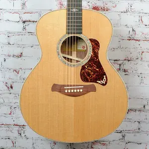 Taylor-guitars - Gold Label 814e - Акустико-электрическая гитара - Гондурасское розовое дерево - с кейсом Taylor Deluxe Hardshell коричневого цвета - x5030