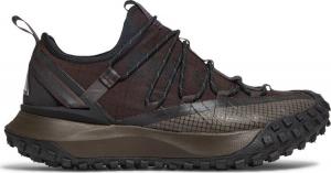Кроссовки Nike ACG Mountain Fly Low 'Brown Basalt', коричневый