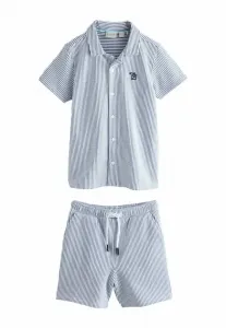 Шорты в полоску с текстурированной поверхностью, стандартного кроя. Baker By Ted Baker, Navy