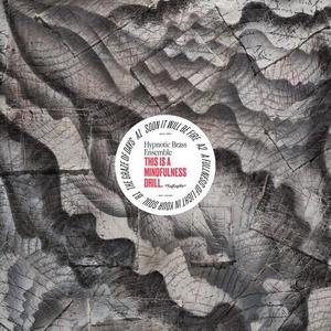 Виниловая пластинка Hypnotic Brass Ensemble - This Is A Mindfulness Drill (Opaque Black & White