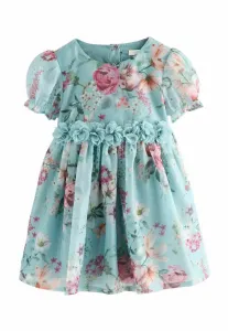 Элегантное платье-корсаж стандартного кроя с цветочным декором Next, Blue