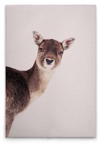 Картина на холсте A.S. Création Deer Rose цвет beigebrauncremeschwarz