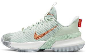 Мужские баскетбольные кроссовки Nike Ambassador 13