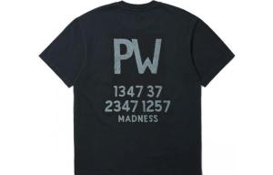 Футболка мужская серая MADNESS, серый