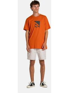 Reell Шорты “Reflex Easy Cargo Short Br” серого цвета