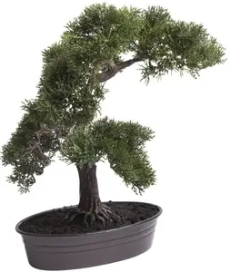 Искусственный бонсай Botanic-Haus "Cedern Bonsai" Ø/37х42 см, темно-зеленый