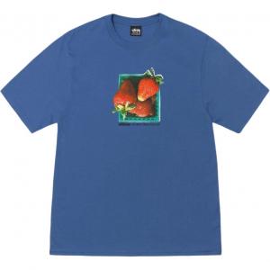 Футболка Berries Stussy, синий