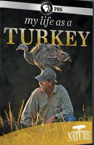 Диск DVD My Life As A Turkey