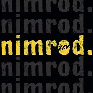 Виниловая пластинка LP Nimrod [25th Anniversary Silver Vinyl] - Green Day