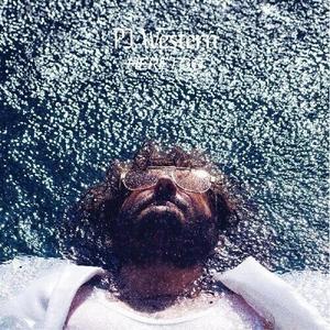 Виниловая пластинка Pj Western - Here I Go