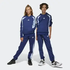Брюки для мальчиков Adidas Seasonal Essentials Colorblock, синий