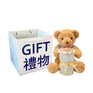 Плюшевая кукла Hug Bear 30см/40см высотой Abay