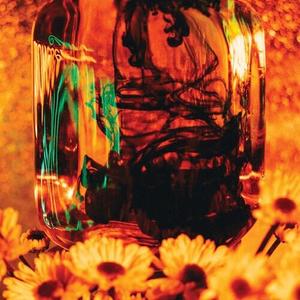 Виниловая пластинка Together Pangea - Dye