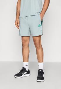 Спортивные шорты Adidas Sportswear CHELSEA, Sage/Collegiate Green/Light Green