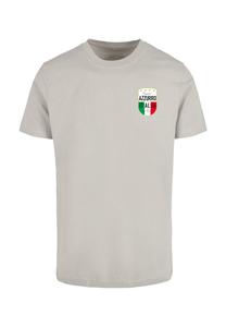 Футболка с принтом AZURRO ITALIA CREST Mister Tee, светло-серый