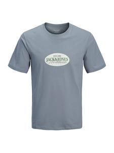 Jack & Jones Plus Футболка 'JORCATSKILLS' в цвете Opal