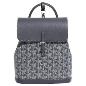 GOYARD Мини рюкзак унисекс серый из альпинистского холста с кожаной спинкой