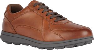 Кроссовки Geox для мальчиков U Spherica Ec12, Cognac