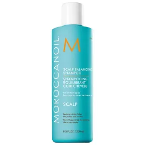 Шампунь для балансировки кожи головы Moroccanoil, объем 239 мл