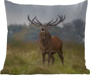 Подушка для улицы - Олень - Рога - Трава - 60 x 60 см - Устойчива к погодным условиям - Подушка для отдыха - Декоративная - Подушка для сна MuchoWow