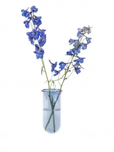 Стеклянная ваза Studio About, синий