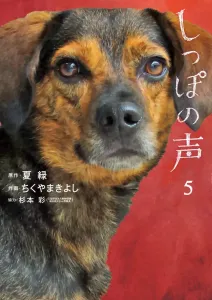 Voice of the Tail (5) (Big Comics)