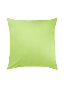 Постельные принадлежности Traumschlaf, цвет apfelgrün